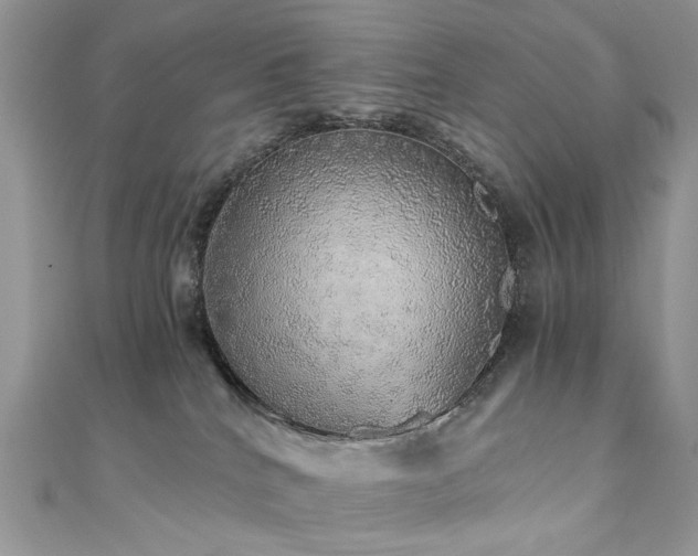 X0000110870040200906181211