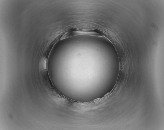 X0000110870041200906181211