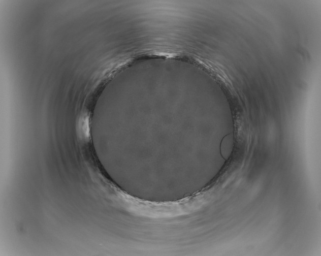 X0000110870042200906181211