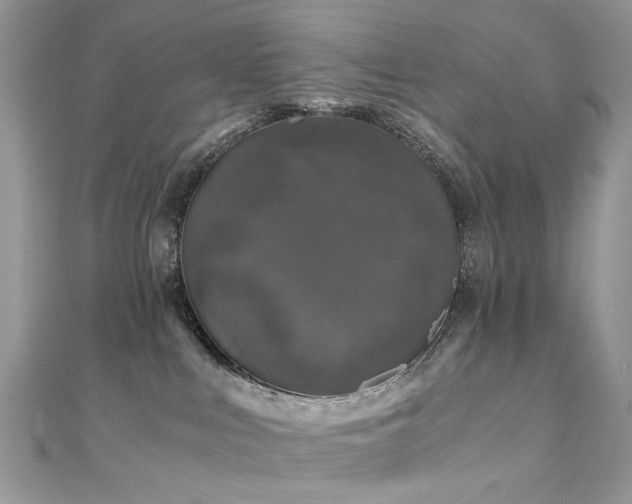 X0000110870043200906181211