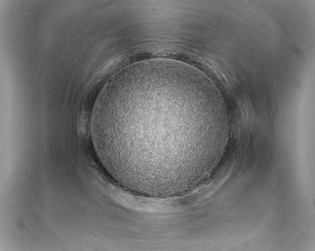 X0000110870044200906181211