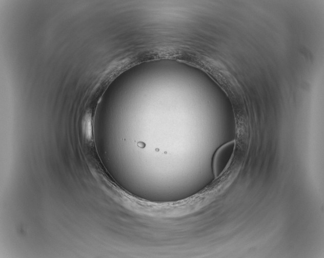 X0000110870046200906181211