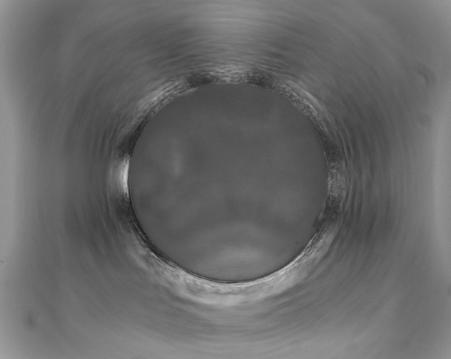 X0000110870047200906181211