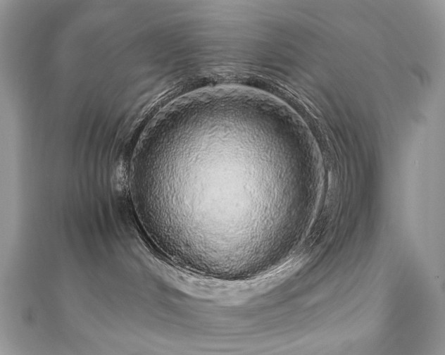 X0000110870048200906181211