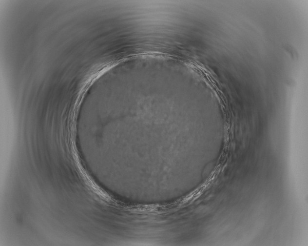 X0000110870049200906181210