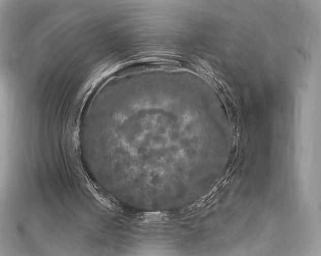 X0000110870050200906181210