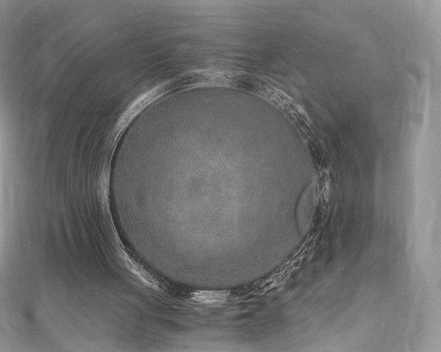 X0000110870051200906181210