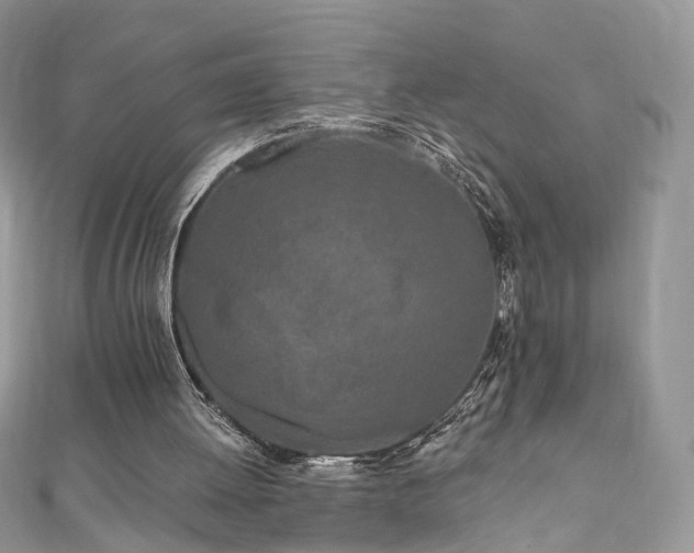 X0000110870052200906181210