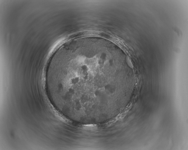 X0000110870053200906181210