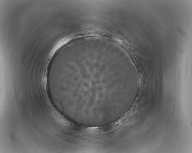 X0000110870054200906181210