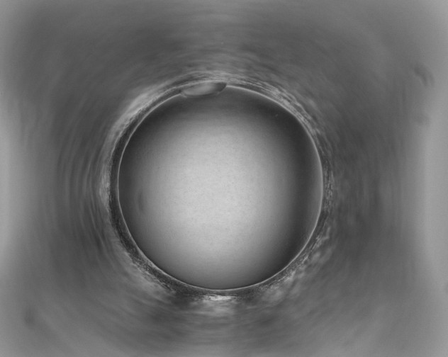 X0000110870055200906181210