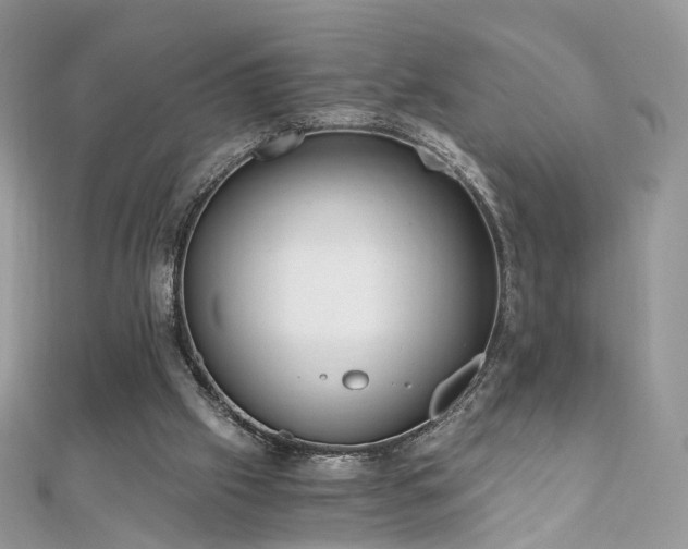 X0000110870057200906181210