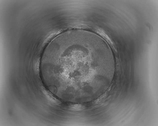 X0000110870058200906181210