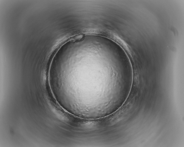 X0000110870059200906181210