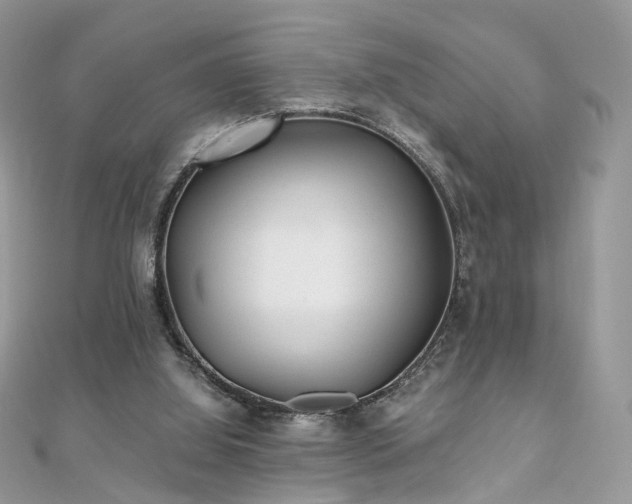 X0000110870060200906181210