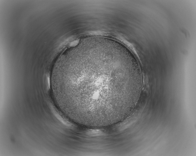 X0000110870061200906181210