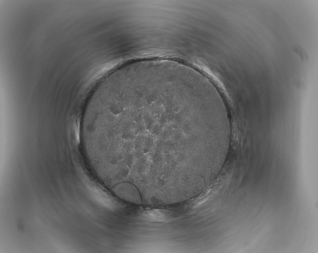 X0000110870062200906181210