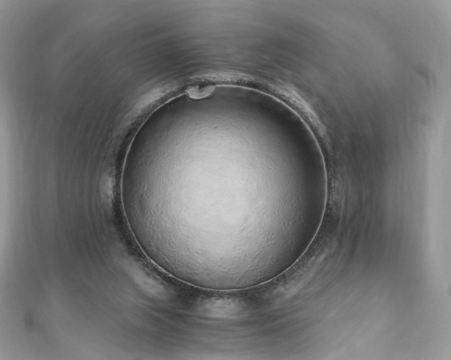 X0000110870063200906181210