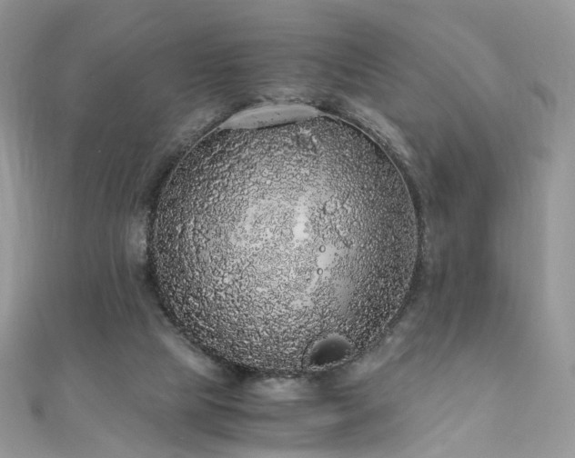 X0000110870065200906181211