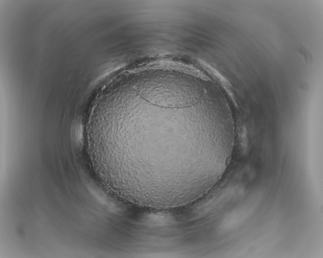 X0000110870067200906181211