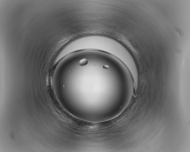 X0000110870068200906181211