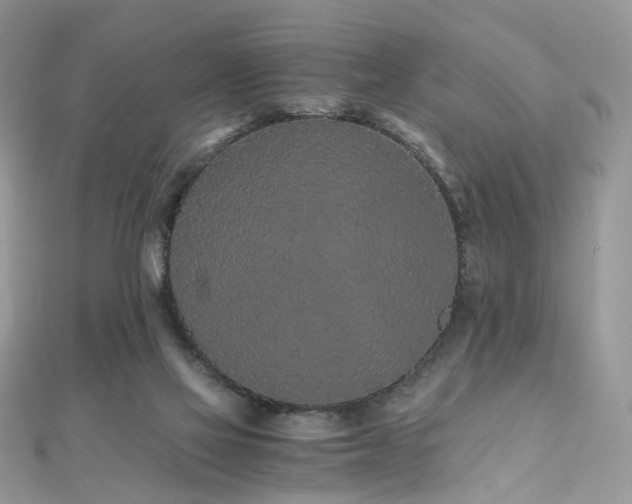 X0000110870069200906181211