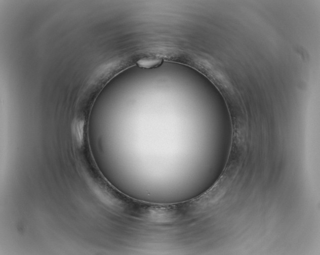 X0000110870070200906181211