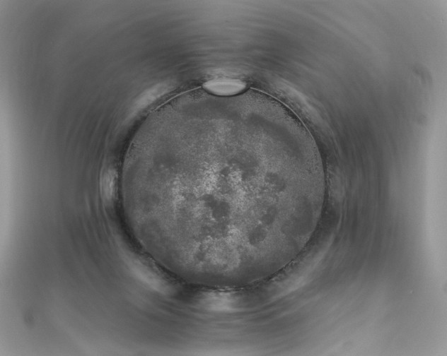 X0000110870071200906181211