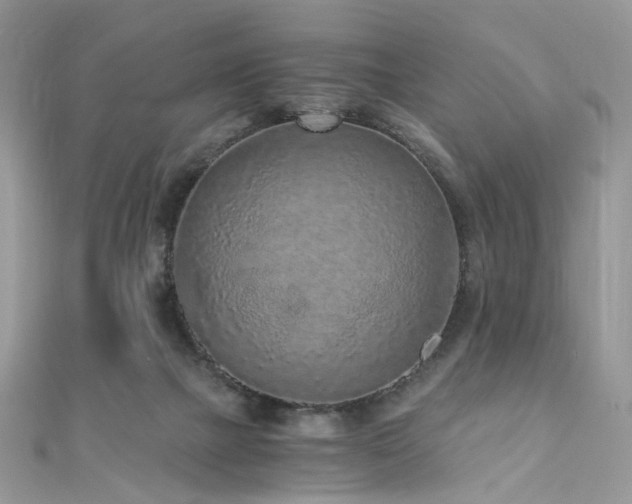 X0000110870073200906181211