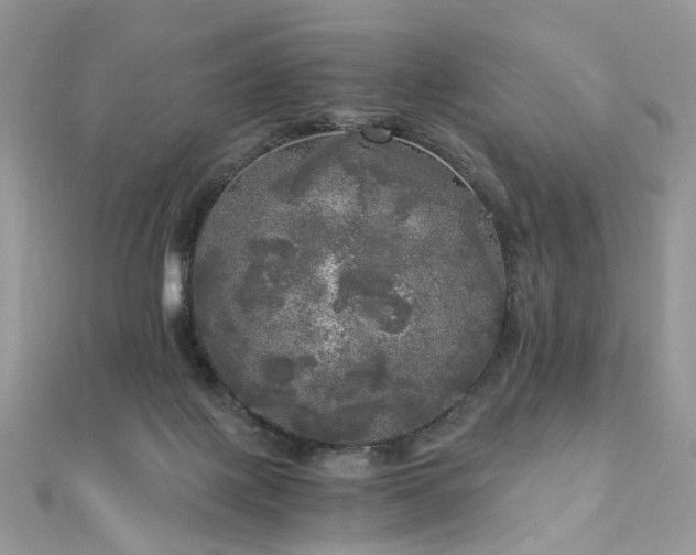 X0000110870075200906181211