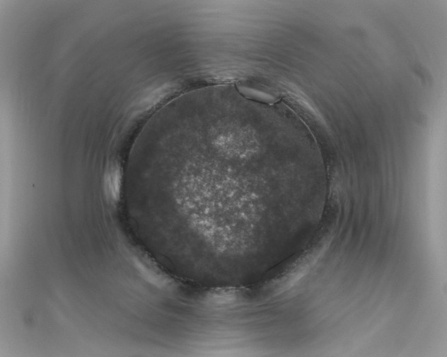 X0000110870076200906181211