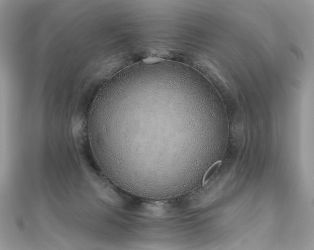 X0000110870079200906181211