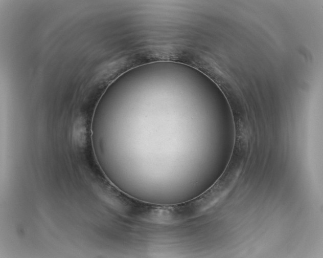 X0000110870080200906181211