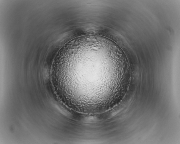 X0000110870081200906181211