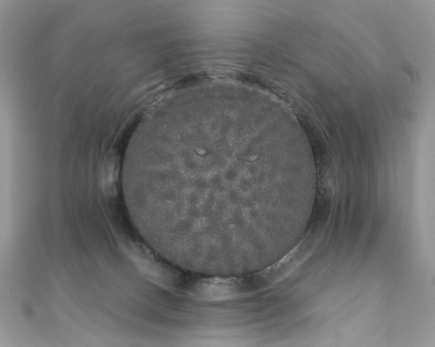 X0000110870082200906181211