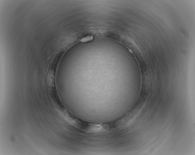 X0000110870083200906181211