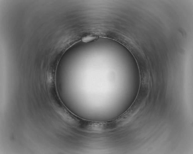 X0000110870084200906181211