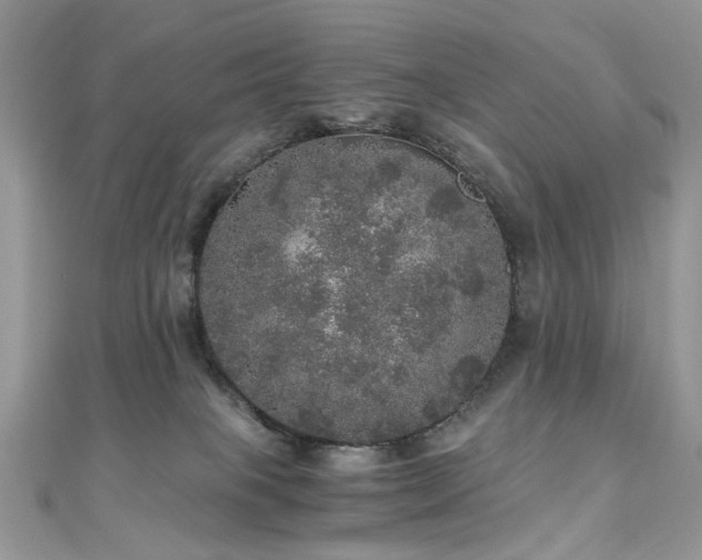 X0000110870085200906181211