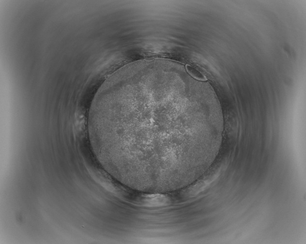 X0000110870087200906181211