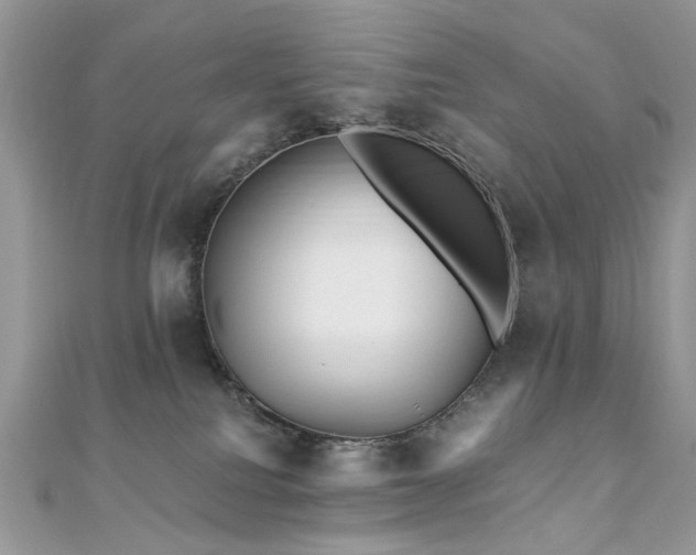 X0000110870088200906181211