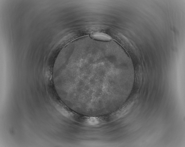 X0000110870091200906181211