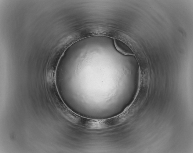 X0000110870093200906181211