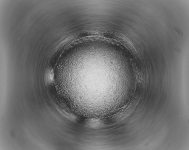 X0000110870095200906181211