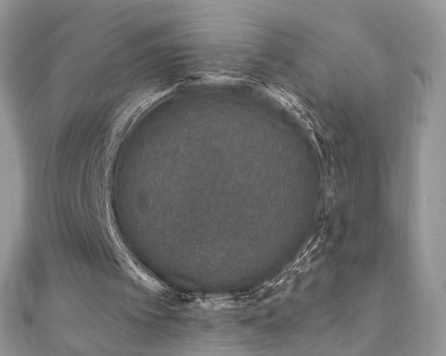 X0000110870097200906181210