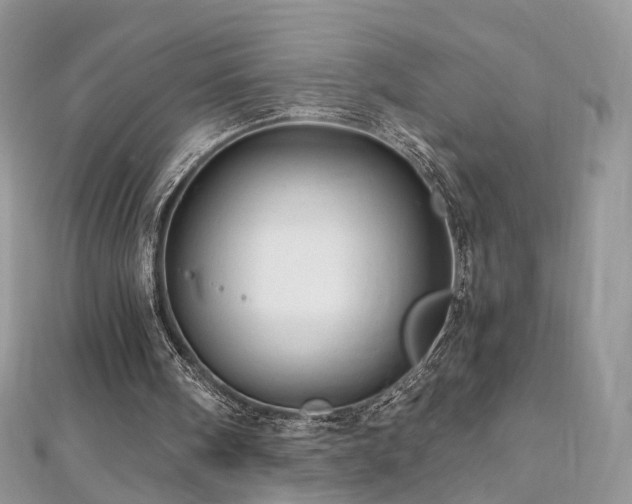 X0000110870098200906181210