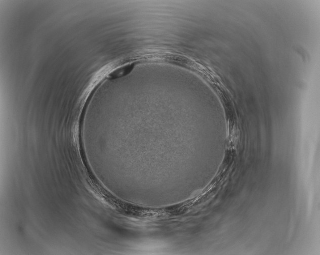 X0000110870099200906181210