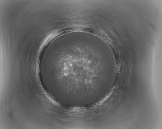 X0000110870101200906181210