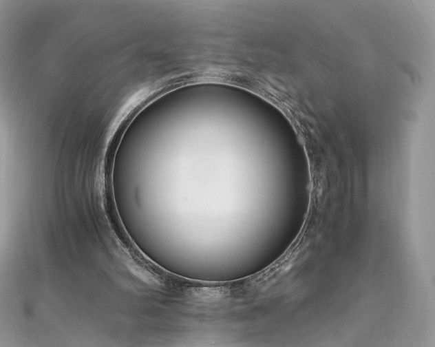 X0000110870102200906181210