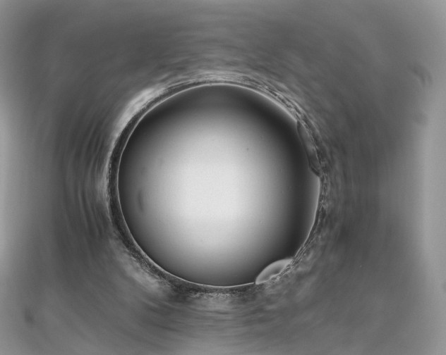 X0000110870104200906181210