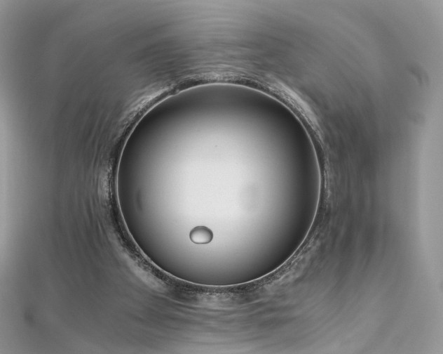 X0000110870105200906181210